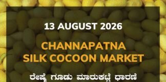 Channapatna Silk Cocoon Market – 13 August 2026 Channapatna Silk Cocoon Market Rates – 13 August 2026