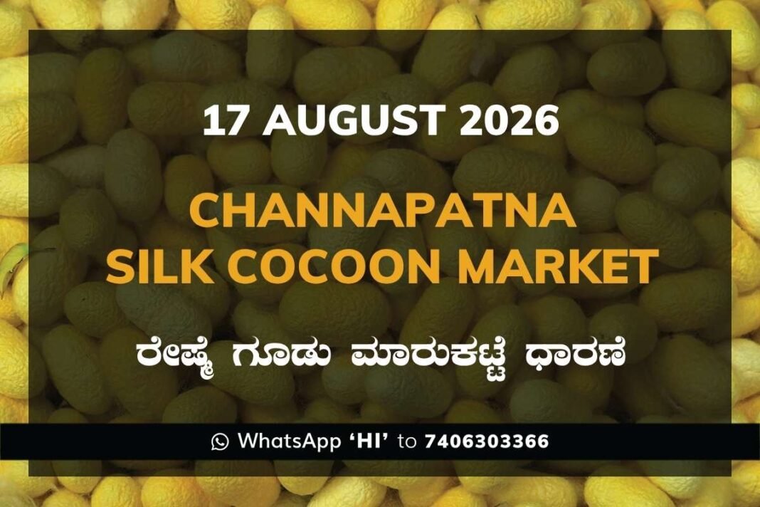 Channapatna Silk Cocoon Market Rates – 17 August 2026