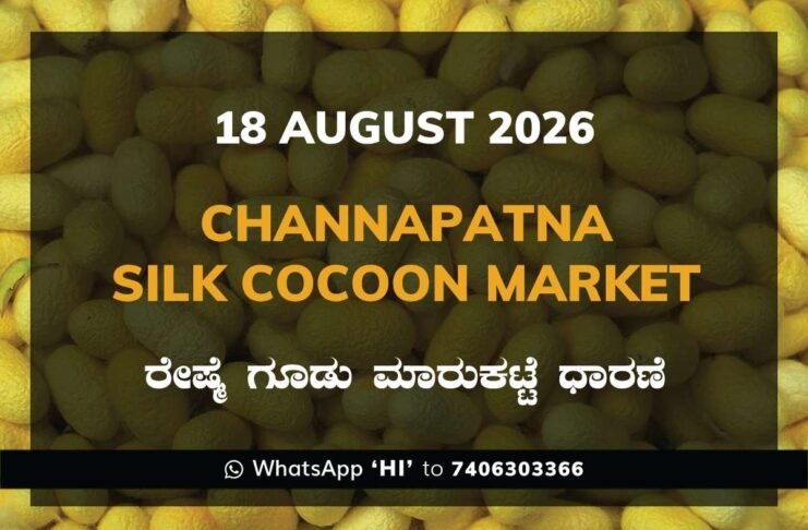 Channapatna Silk Cocoon Market Rates – 18 August 2026