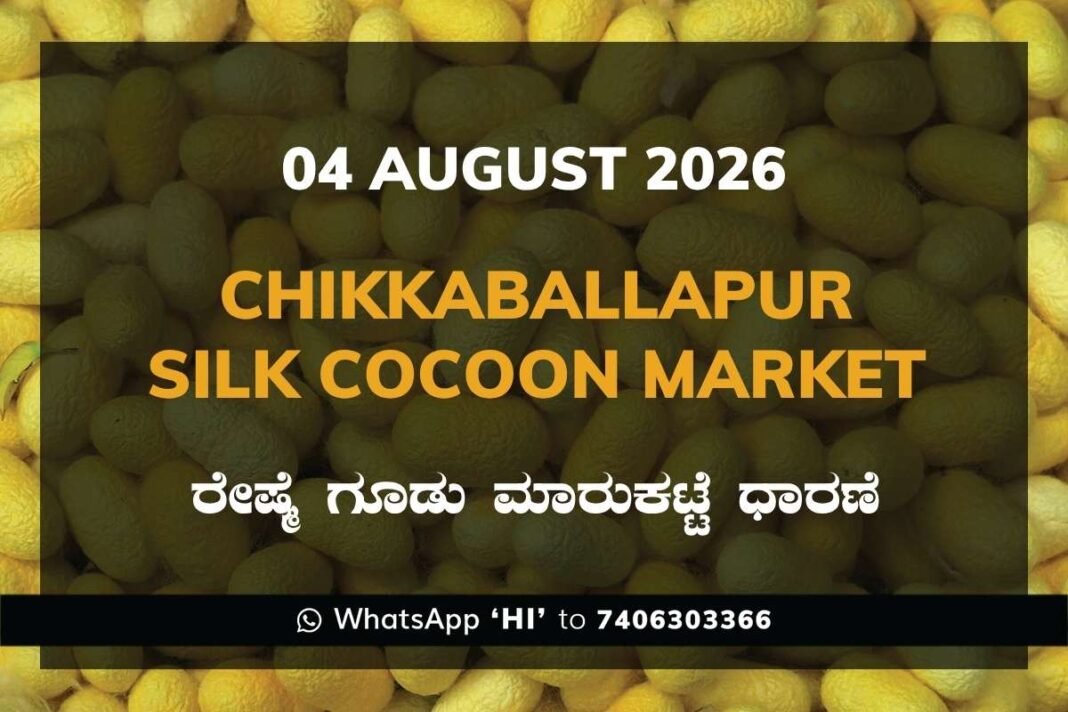 Chikkaballapur Silk Cocoon Market Rates – 04 August 2026