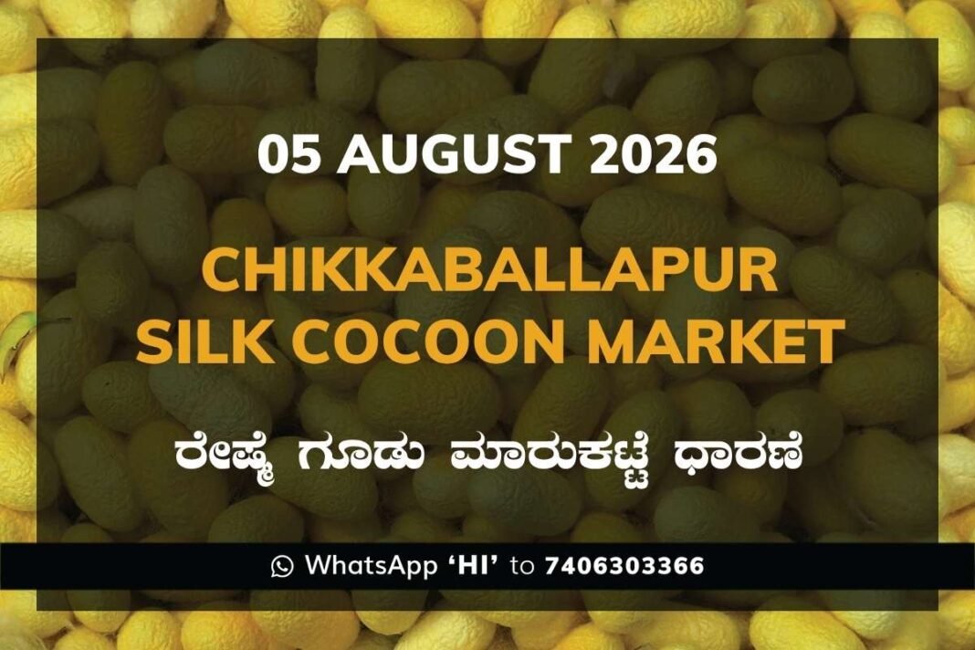 Chikkaballapur Silk Cocoon Market Rates – 05 August 2026