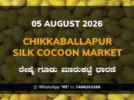 Chikkaballapur Silk Cocoon Market Rates – 05 August 2026