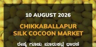 Chikkaballapur Silk Cocoon Market – 10 August 2026 Chikkaballapur Silk Cocoon Market Rates – 10 August 2026