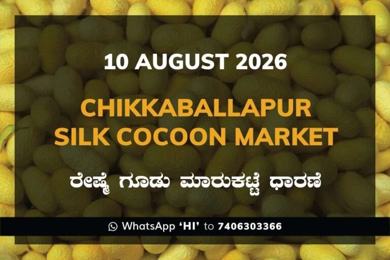 Chikkaballapur Silk Cocoon Market Rates – 10 August 2026