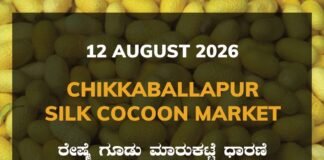 Chikkaballapur Silk Cocoon Market – 12 August 2026 Chikkaballapur Silk Cocoon Market Rates – 12 August 2026