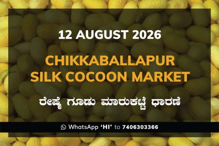 Chikkaballapur Silk Cocoon Market Rates – 12 August 2026