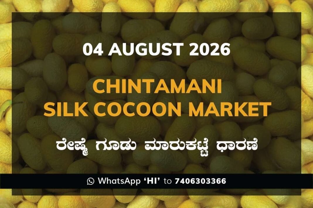 Chintamani Silk Cocoon Market Rates – 04 August 2026