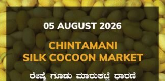 Chintamani Silk Cocoon Market – 05 August 2026 Chintamani Silk Cocoon Market Rates – 05 August 2026