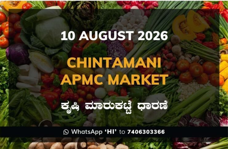 Chintamani Silk Cocoon Market Rates – 10 August 2026