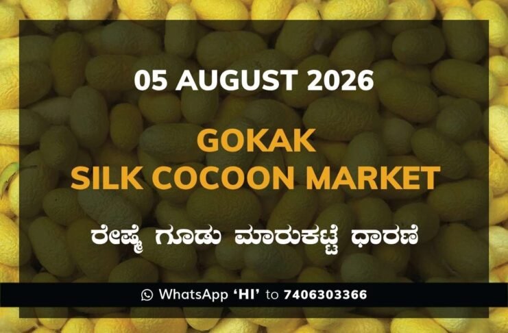 Gokak Silk Cocoon Market Rates – 05 August 2026