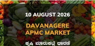 Gokak Silk Cocoon Market – 10 August 2026 Gokak Silk Cocoon Market Rates – 10 August 2026