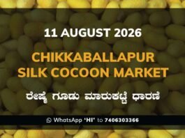 H Cross Silk Cocoon Market – 11 August 2026 H Cross Silk Cocoon Market Rates – 11 August 2026