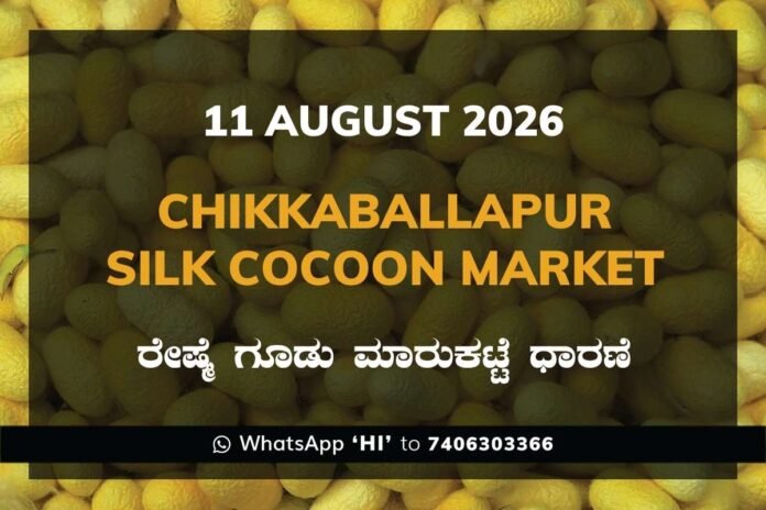 H Cross Silk Cocoon Market Rates – 11 August 2026