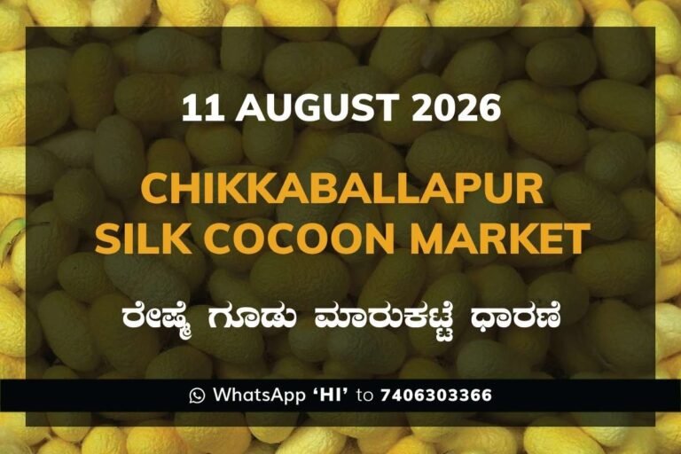 H Cross Silk Cocoon Market Rates – 11 August 2026