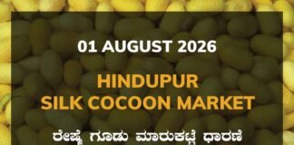 Hindupur Silk Cocoon Market – 01 August 2026 Hindupur Silk Cocoon Market Rates – 01 August 2026