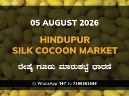 Hindupur Silk Cocoon Market Rates – 05 August 2026