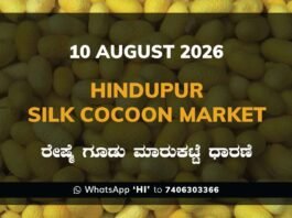 Hindupur Silk Cocoon Market Rates – 10 August 2026