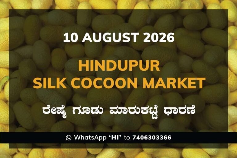 Hindupur Silk Cocoon Market Rates – 10 August 2026