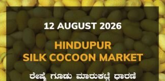 Hindupur Silk Cocoon Market – 12 August 2026 Hindupur Silk Cocoon Market Rates – 12 August 2026
