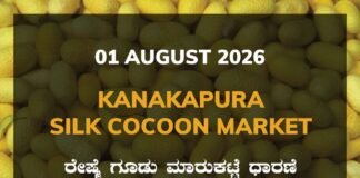 Kanakapura Silk Cocoon Market – 01 August 2026 Kanakapura Silk Cocoon Market Rates – 01 August 2026
