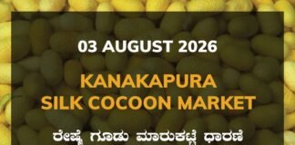 Kanakapura Silk Cocoon Market – 03 August 2026 Kanakapura Silk Cocoon Market Rates – 03 August 2026