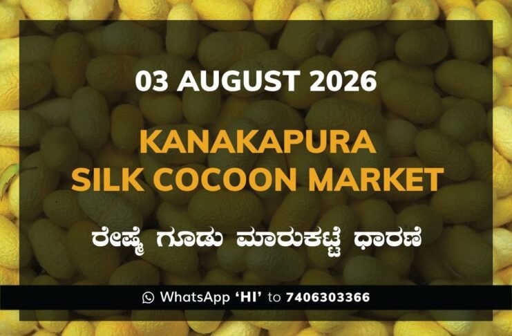 Kanakapura Silk Cocoon Market Rates – 03 August 2026