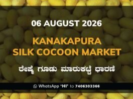 Kanakapura Silk Cocoon Market Rates – 06 August 2026
