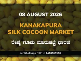 Kanakapura Silk Cocoon Market Rates – 08 August 2026