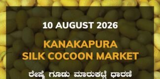 Kanakapura Silk Cocoon Market – 10 August 2026 Kanakapura Silk Cocoon Market Rates – 10 August 2026
