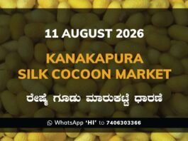 Kanakapura Silk Cocoon Market Rates – 11 August 2026