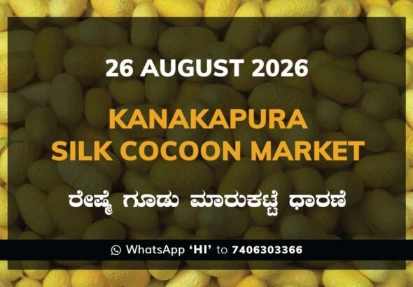 Kanakapura Silk Cocoon Market Rates – 26 August 2026