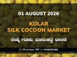 Kolar Silk Cocoon Market Rates – 01 August 2026