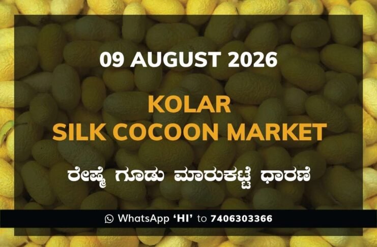 Kolar Silk Cocoon Market Rates – 09 August 2026