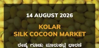Kolar Silk Cocoon Market – 14 August 2026 Kolar Silk Cocoon Market Rates – 14 August 2026