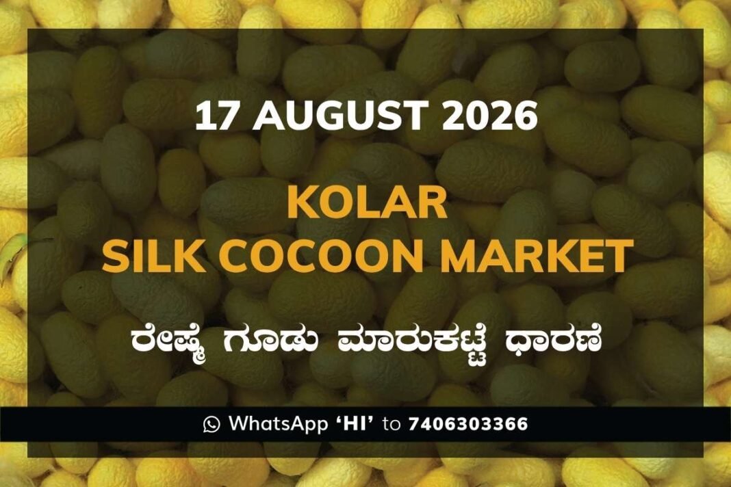 Kolar Silk Cocoon Market Rates – 17 August 2026