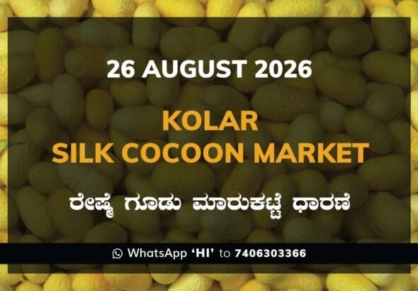 Kolar Silk Cocoon Market Rates – 26 August 2026