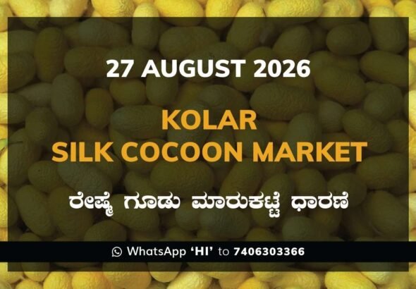 Kolar Silk Cocoon Market Rates – 27 August 2026