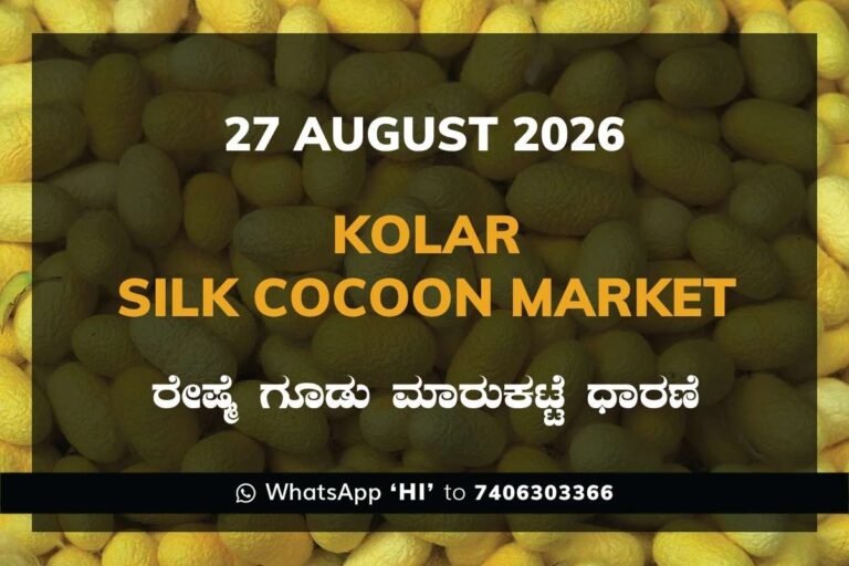 Kolar Silk Cocoon Market Rates – 27 August 2026