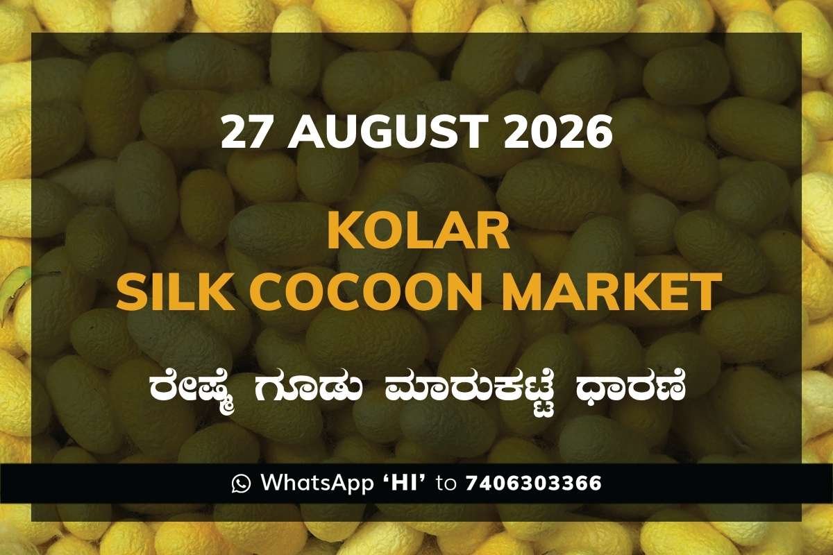 Kolar Silk Cocoon Market Rates – 27 August 2026