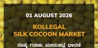 Kollegal Silk Cocoon Market – 01 August 2026 Kollegal Silk Cocoon Market Rates – 01 August 2026