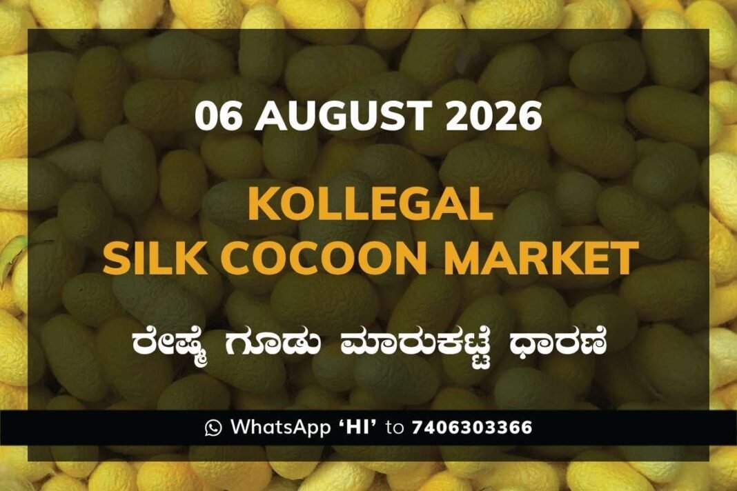 Kollegal Silk Cocoon Market Rates – 06 August 2026