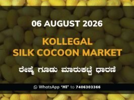 Kollegal Silk Cocoon Market Rates – 06 August 2026