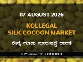 Kollegal Silk Cocoon Market Rates – 07 August 2026
