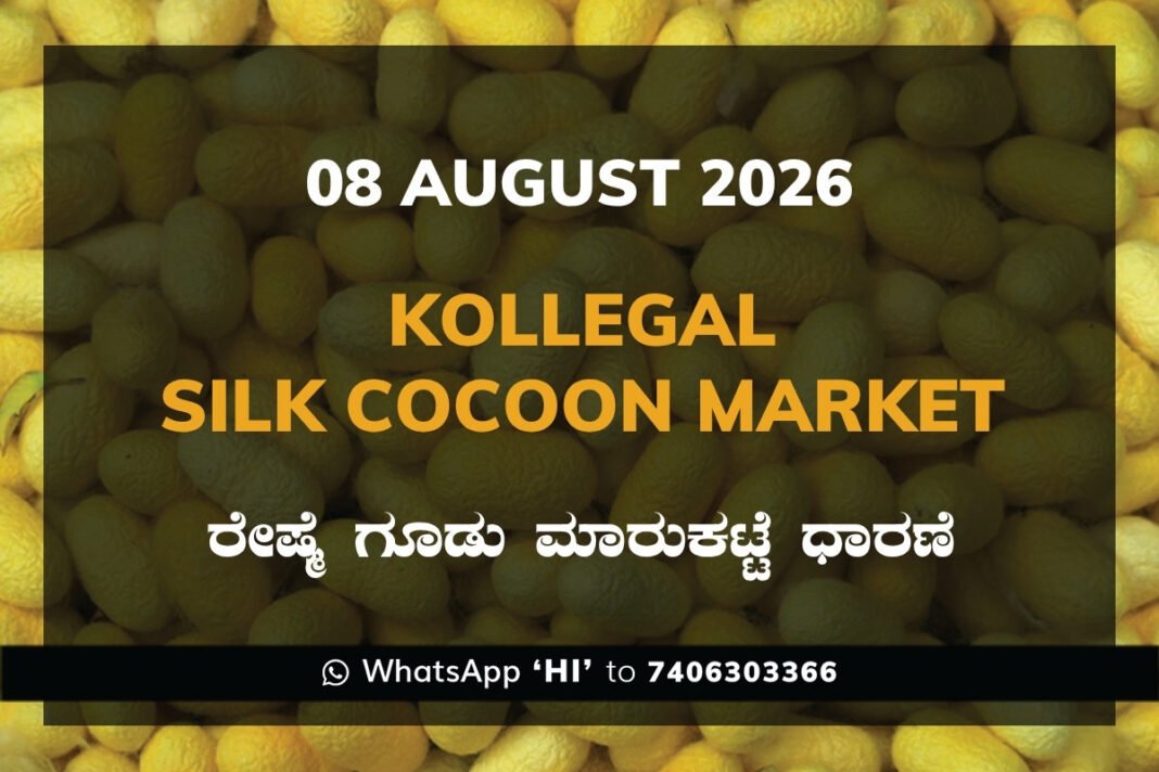 Kollegal Silk Cocoon Market Rates – 08 August 2026