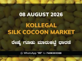 Kollegal Silk Cocoon Market Rates – 08 August 2026