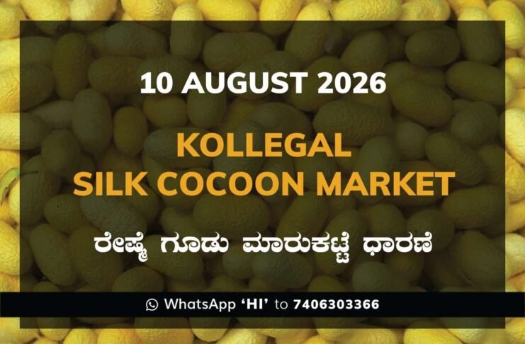 Kollegal Silk Cocoon Market Rates – 10 August 2026