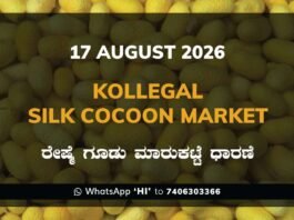 Kollegal Silk Cocoon Market Rates – 17 August 2026