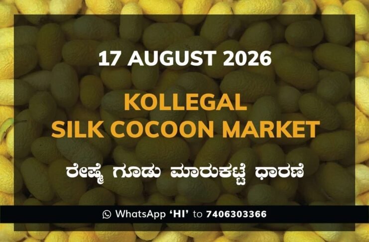 Kollegal Silk Cocoon Market Rates – 17 August 2026