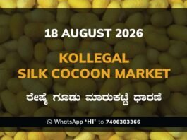 Kollegal Silk Cocoon Market – 18 August 2026 Kollegal Silk Cocoon Market Rates – 18 August 2026