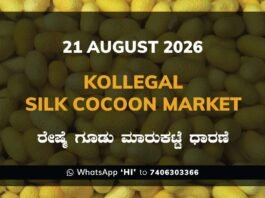 Kollegal Silk Cocoon Market – 21 August 2026 Kollegal Silk Cocoon Market Rates – 21 August 2026